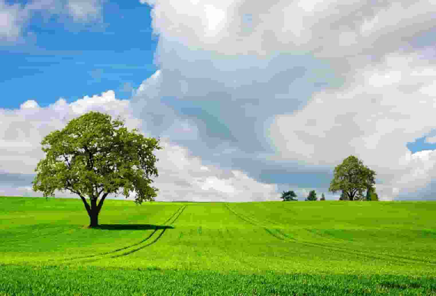 市场公平性何在“明目张胆直播”谁在随意切换天地板