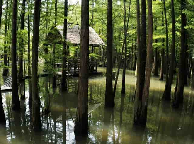 打了第二针疫苗后应注意什么