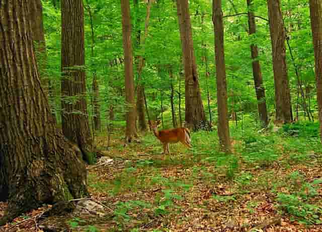 街拍：高筒靴美女，穿的就是气质