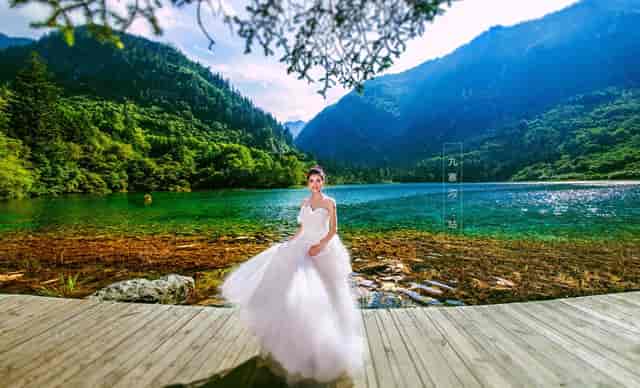 袖虎知识：猫鼻子为什么总是湿润的？