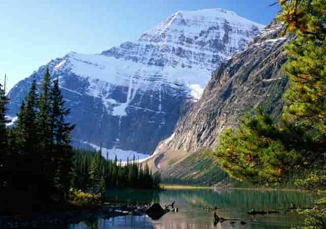 麦当劳如何解冻(麦当劳解冻腌制数量公式)