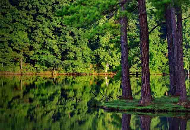 牛津鞋美女，穿出有文化的韵致
