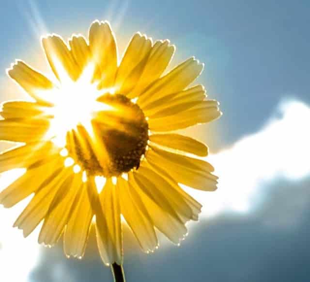 今晚中国石油油价下调