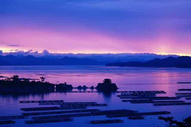 打完疫苗后没有给接种单