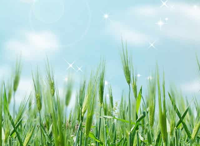 LOL无限火力最弱的英雄 第一个经常被人追着打 真的有点废