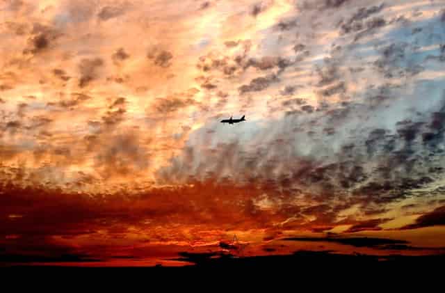 袖虎宠物为你揭露宠物行业加盟套路