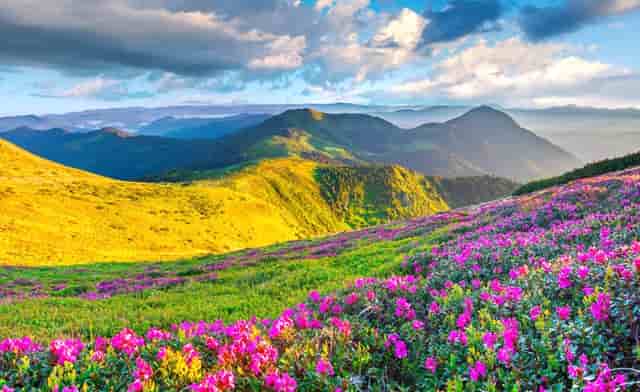 七月巨蟹星座运势