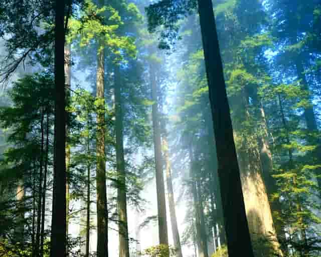 电力建设集团水电十一局闹剧！