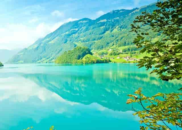 掌上世界杯火热来袭 枞横世界杯预测锦标赛进行中