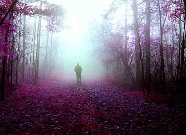 老旧小区加装电梯不同意新规