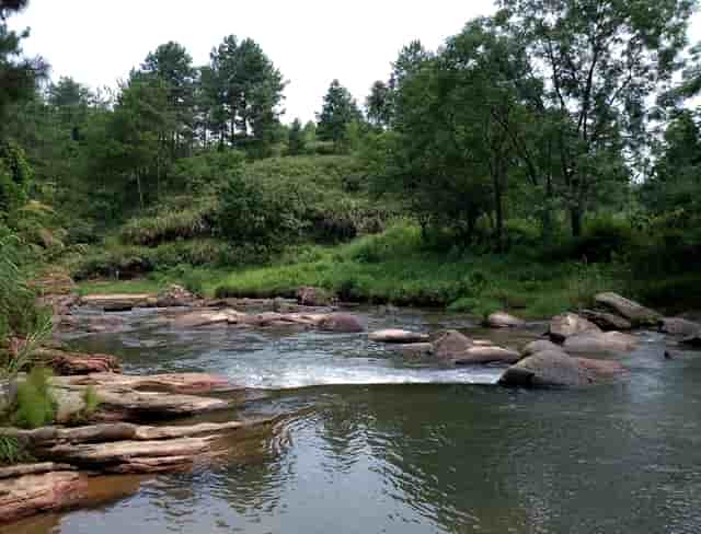 宠物托运死亡全赖垃圾托运？袖虎解密真相，托运是否黑心！