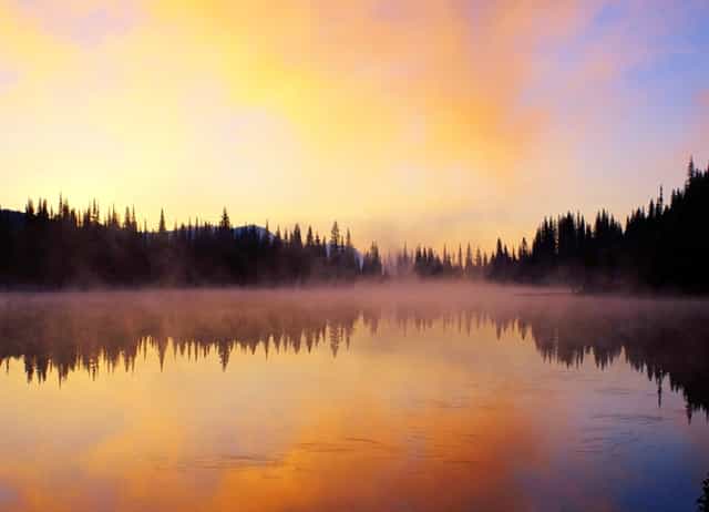 一汽收购依维柯的谈判现已搁置