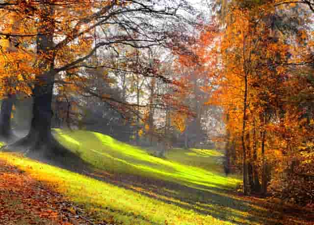 新浪官网、今日头条官网——国内仅有在个人手中的顶级域名