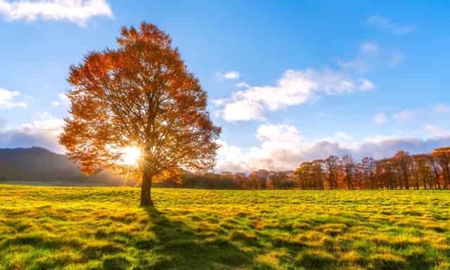 新版本守约出装公布，37连胜冠绝全网！还无意中解决红线问题！