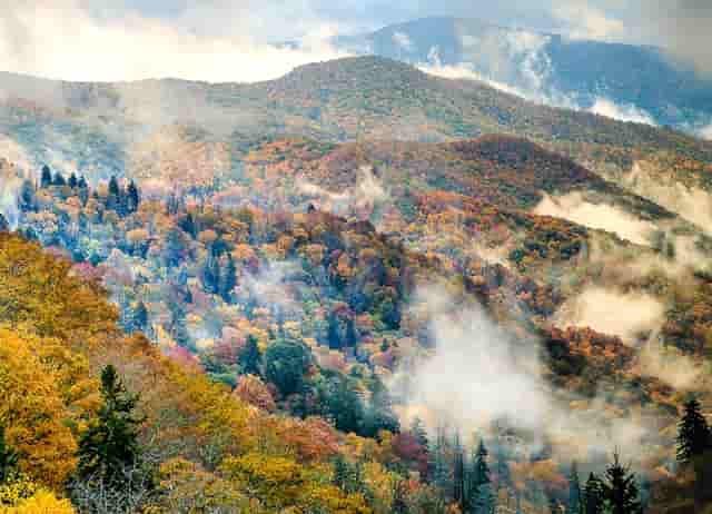 房贷适用抵押贷款吗(抵押贷款和房贷哪个利息高)
