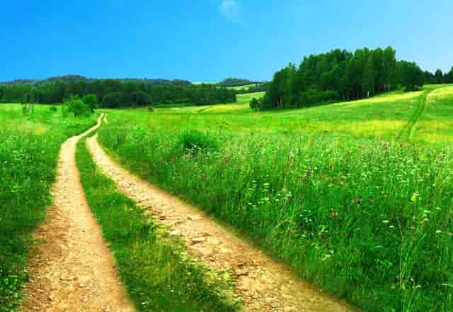 看袖虎如何在宠物行业中成为投资新宠！