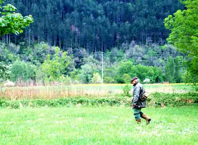 女人对男人说她要离婚