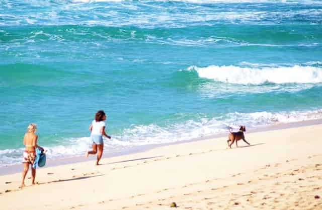 学习如何培养好习惯