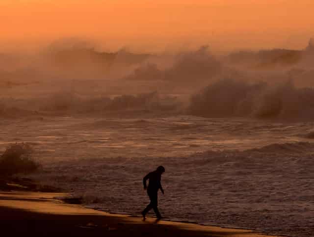 袖虎宠物店揭秘行业骗局：开宠物店有没有暴利？(1)