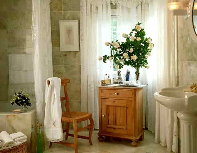 袖虎的建议，你的猫难看怎么办？