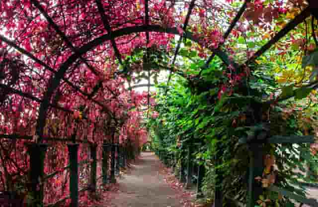 realme gt怎么显示充电(realme gt neo充电)