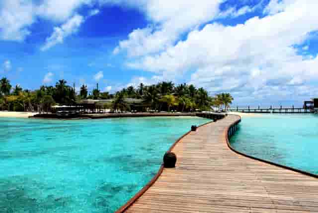 美味的家常小炒菜