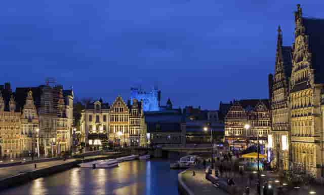 袖虎病猫攻略：猫咪耳朵肿，别想省钱啦！