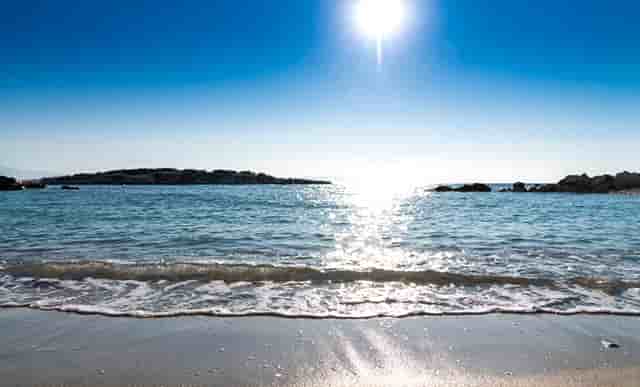 20人被锡林浩特市检察院提起公诉！