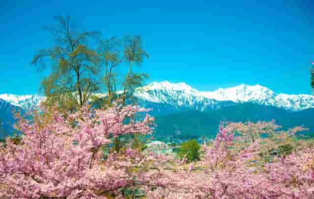 时尚青年男装搭配技巧图片