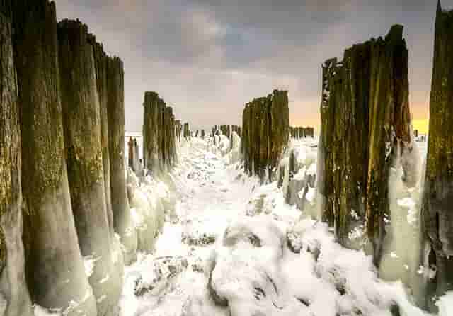 袖虎病猫攻略：猫咪肠梗阻的症状