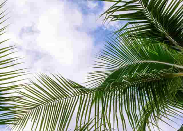 袖虎病狗攻略：这个问题不搞清楚会被狗咬