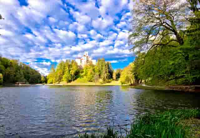 袖虎病猫攻略：猫咪多囊肾是什么