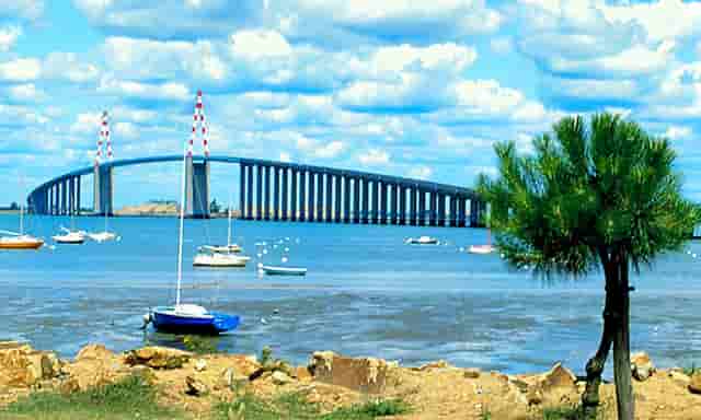 核酸检测为什么没有24小时(核酸检测一周了为什么还是无结果)