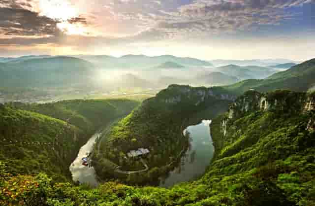 吃10个炸鸡翅(梦见吃炸鸡翅)