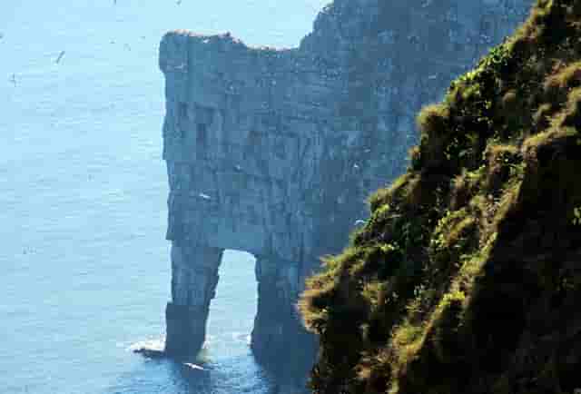 “鄂尔多斯红葱”正逐步走向产业化