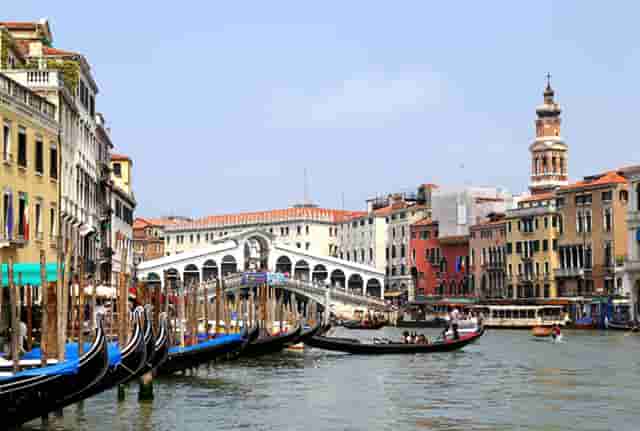 袖虎病猫攻略：猫咪眼睛受伤怎么办