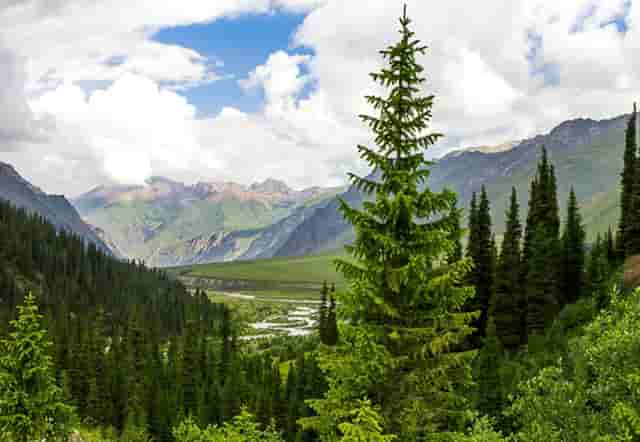 时尚文章的写作技巧(评论类文章写作技巧)