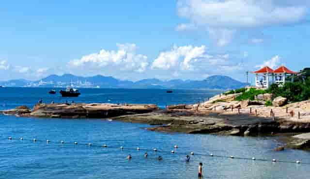 袖虎宠物教你预防黑心商人“卖猫”的诈骗套路！