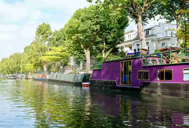 袖虎病狗攻略：狗狗也有白内障吗？