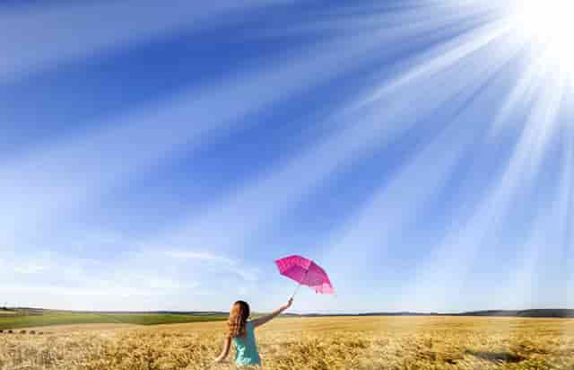 袖虎病猫攻略：猫多大可以配种？