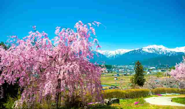 张岚时尚穿搭技巧