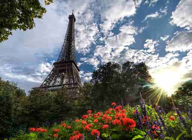 宠物经济前景广阔，袖虎宠物规模声势浩大！