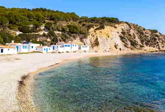 袖虎病猫攻略：猫咪突然乱拉屎怎么办