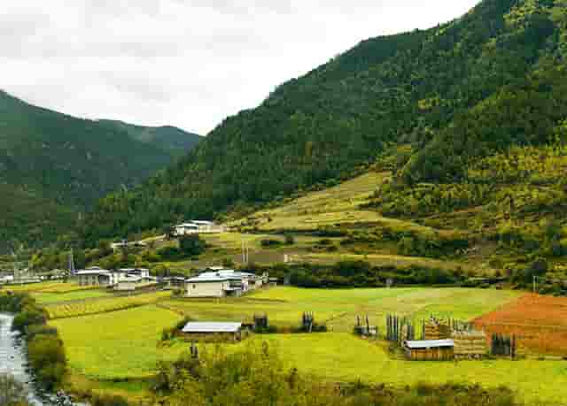 袖虎养宠秘笈：猫咪消瘦怎么办？关键还是在吃上