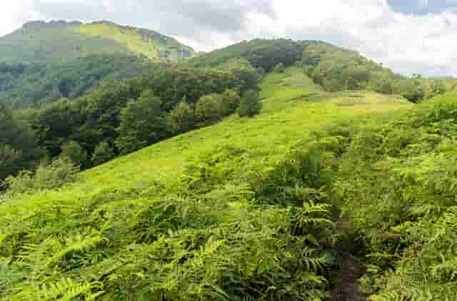 时尚棚拍打光技巧(淘宝棚拍打光技巧)