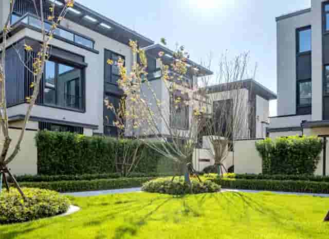 袖虎病猫攻略：绝育术前准备